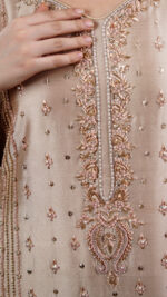 Nargis - Image 3