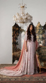 Elegant Blush Pink Embroidered Lehenga
